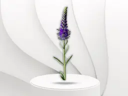 veronica